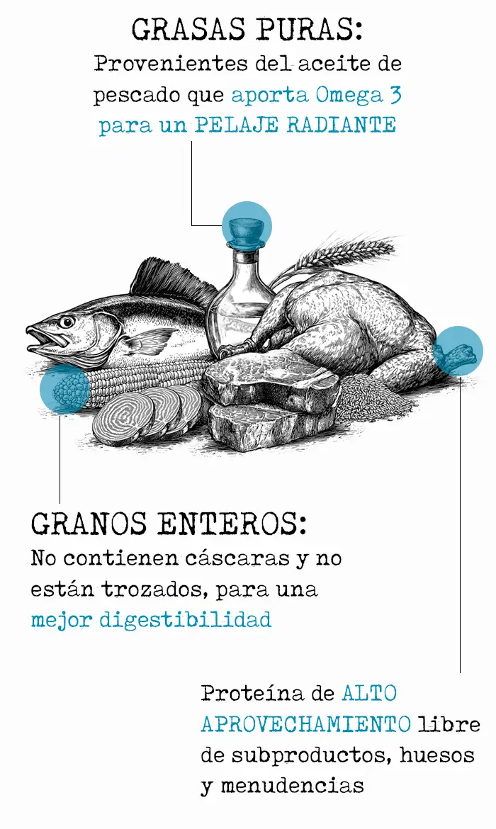 calidad de croquetas